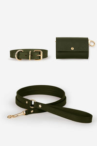 Kit collier Chien Juno vert foncé - XS / Standard / Classique