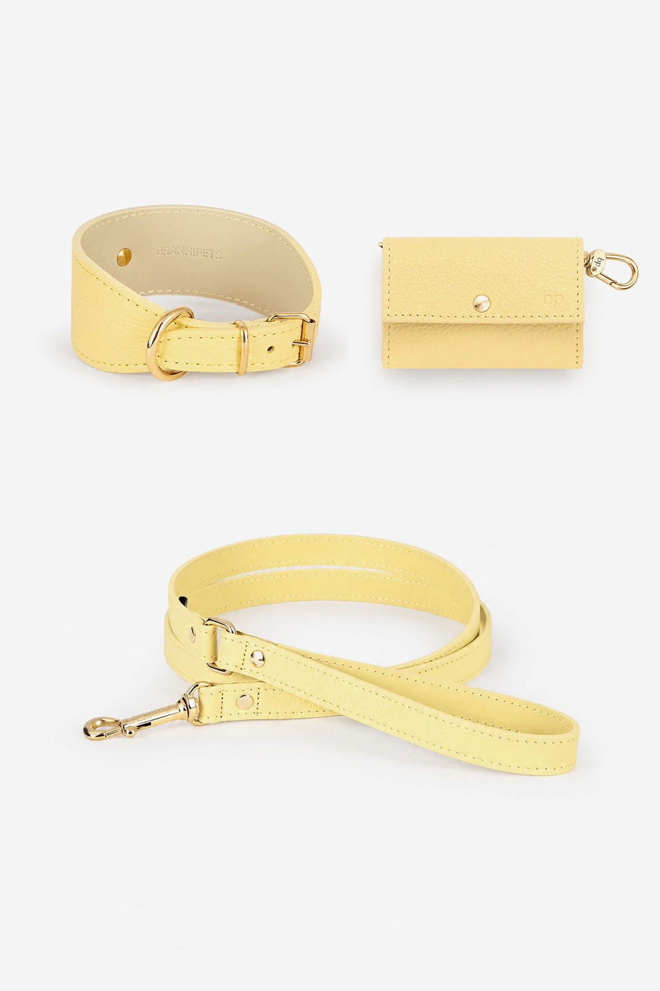 kit-collar-galgo-juno-amarillo-mantequilla.jpg