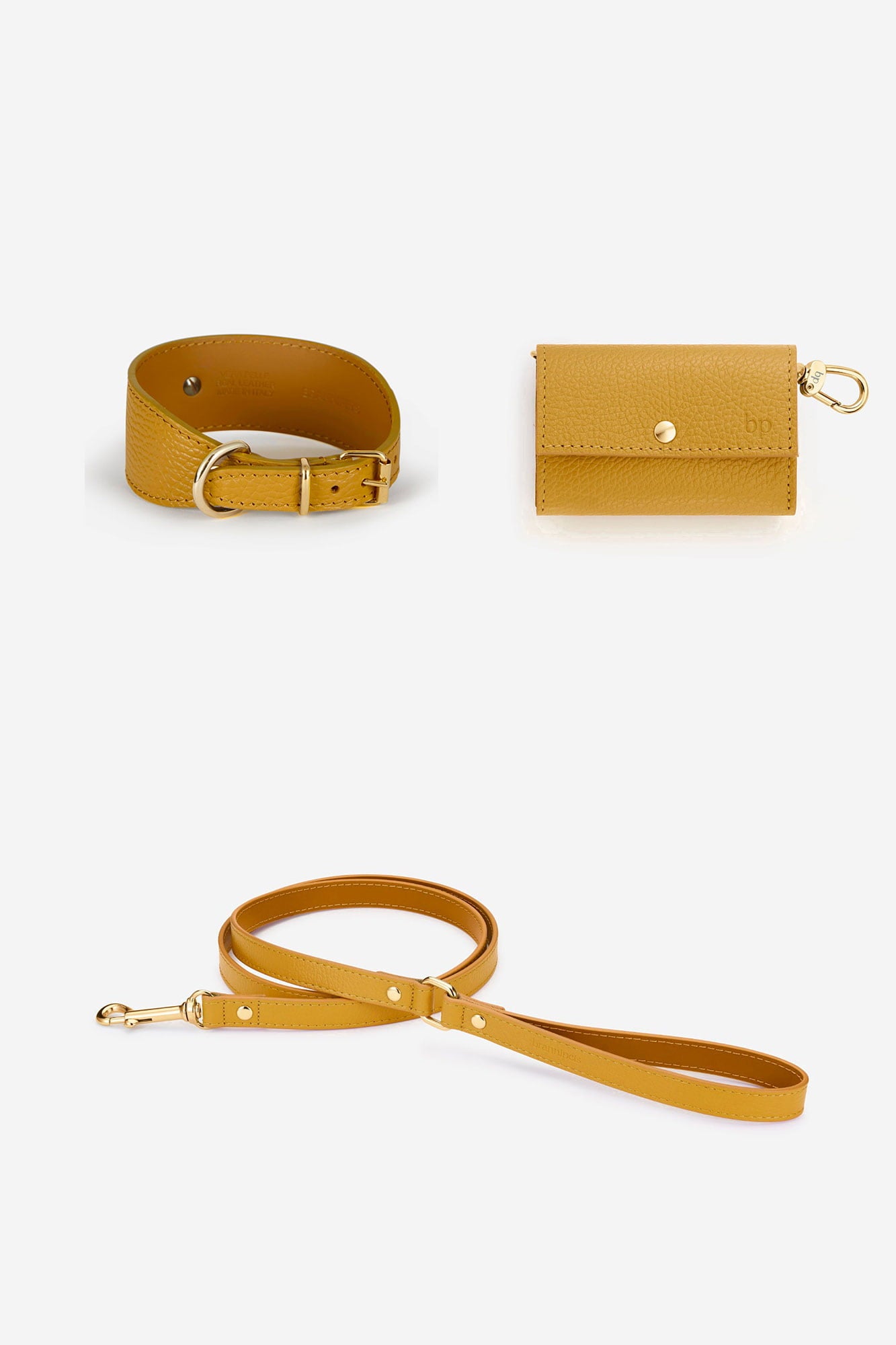 Kit collar Galgo Juno amarillo mostaza