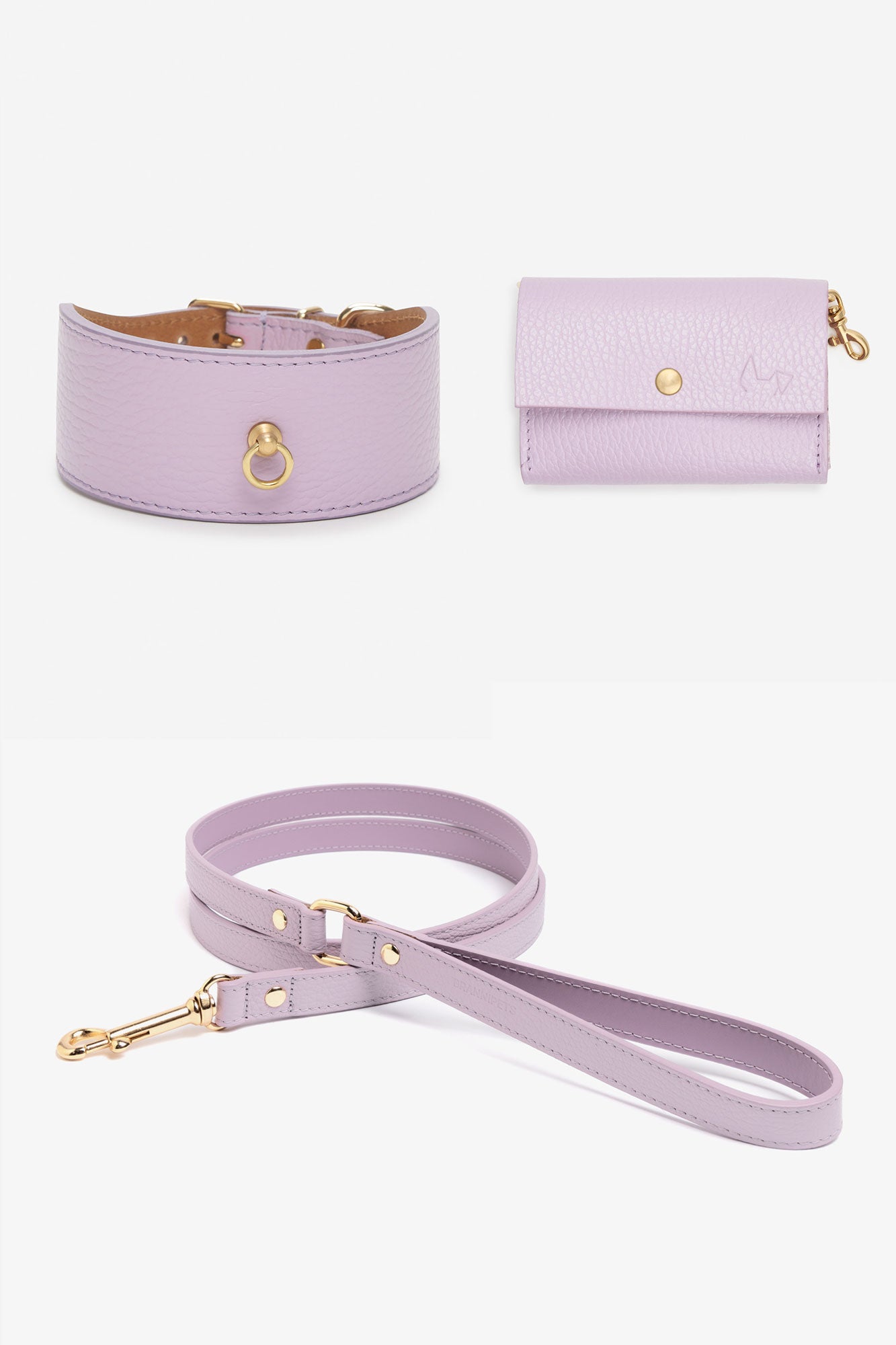 Kit collar Galgo Juno lavanda