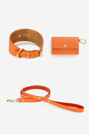 Kit collar Galgo Juno naranja