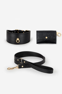 Kit collar Galgo Juno negro - XS / Clásica / Estándar