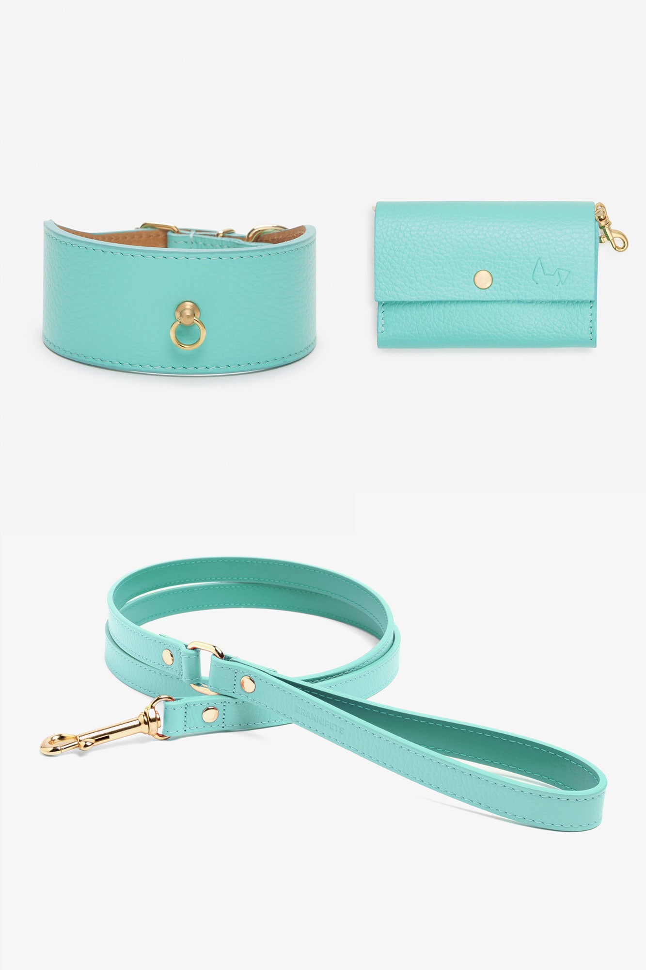 kit-collar-galgo-juno-turquesa.jpg