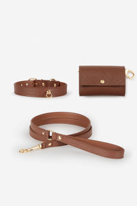 Brown Leather Juno Dog Collar Set - XS / Standard / Classic lead