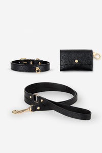 Kit collar perro Juno negro - XS / Clásica / Estándar