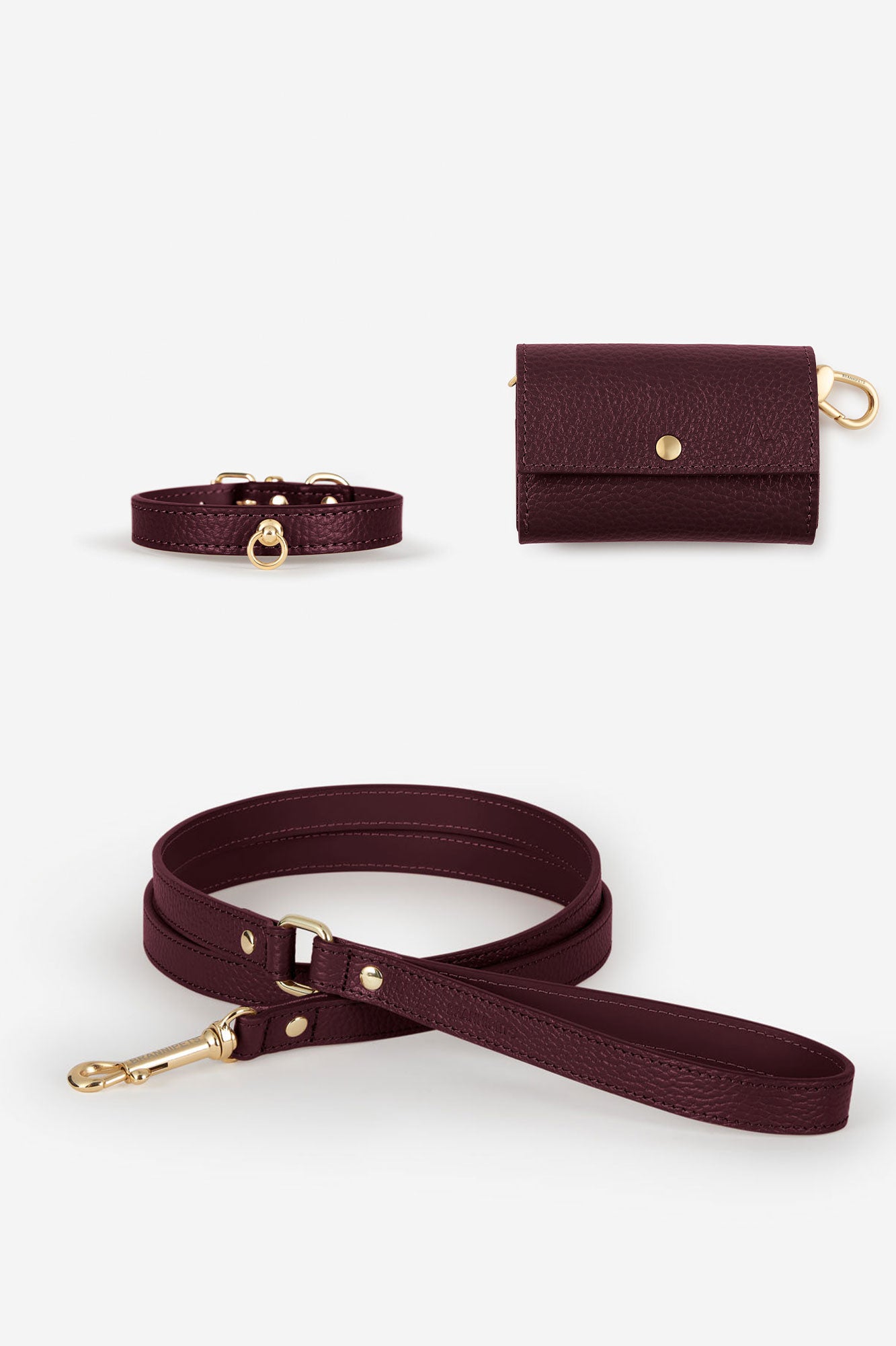 collar verde oscuro para perro