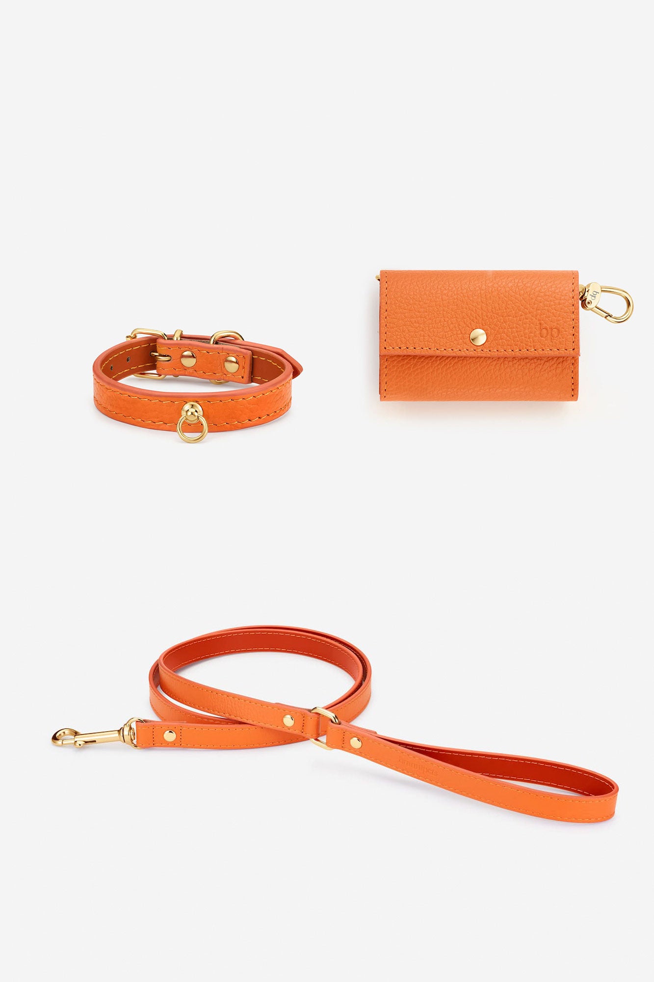 collares para perros naranjas