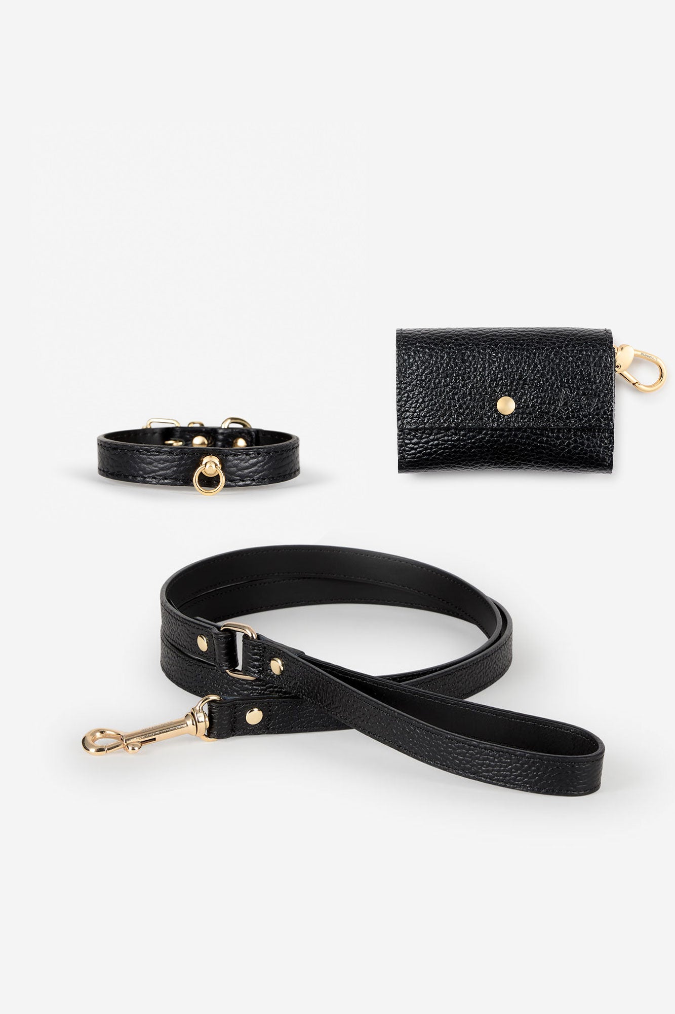 kit collar negro para perro pequeño