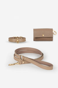 Taupe Leather Juno Toy Dog Collar Set - XS / Standard / Classic lead