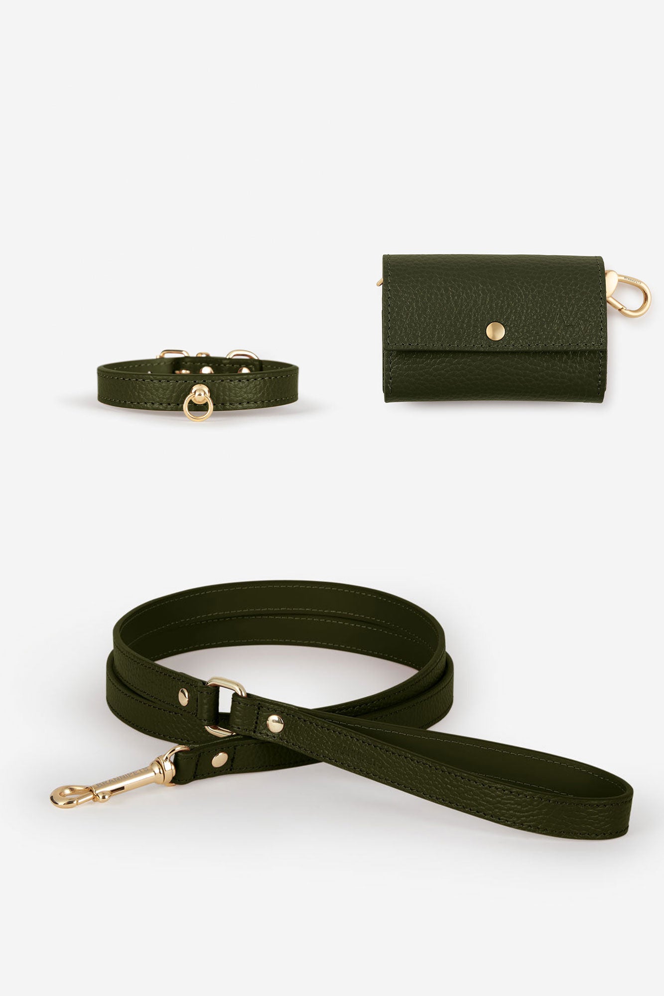 collar perro verde oscuro