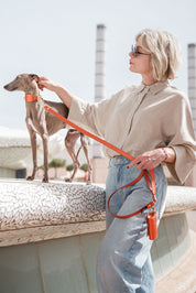 Orange Greyhound Metal collar