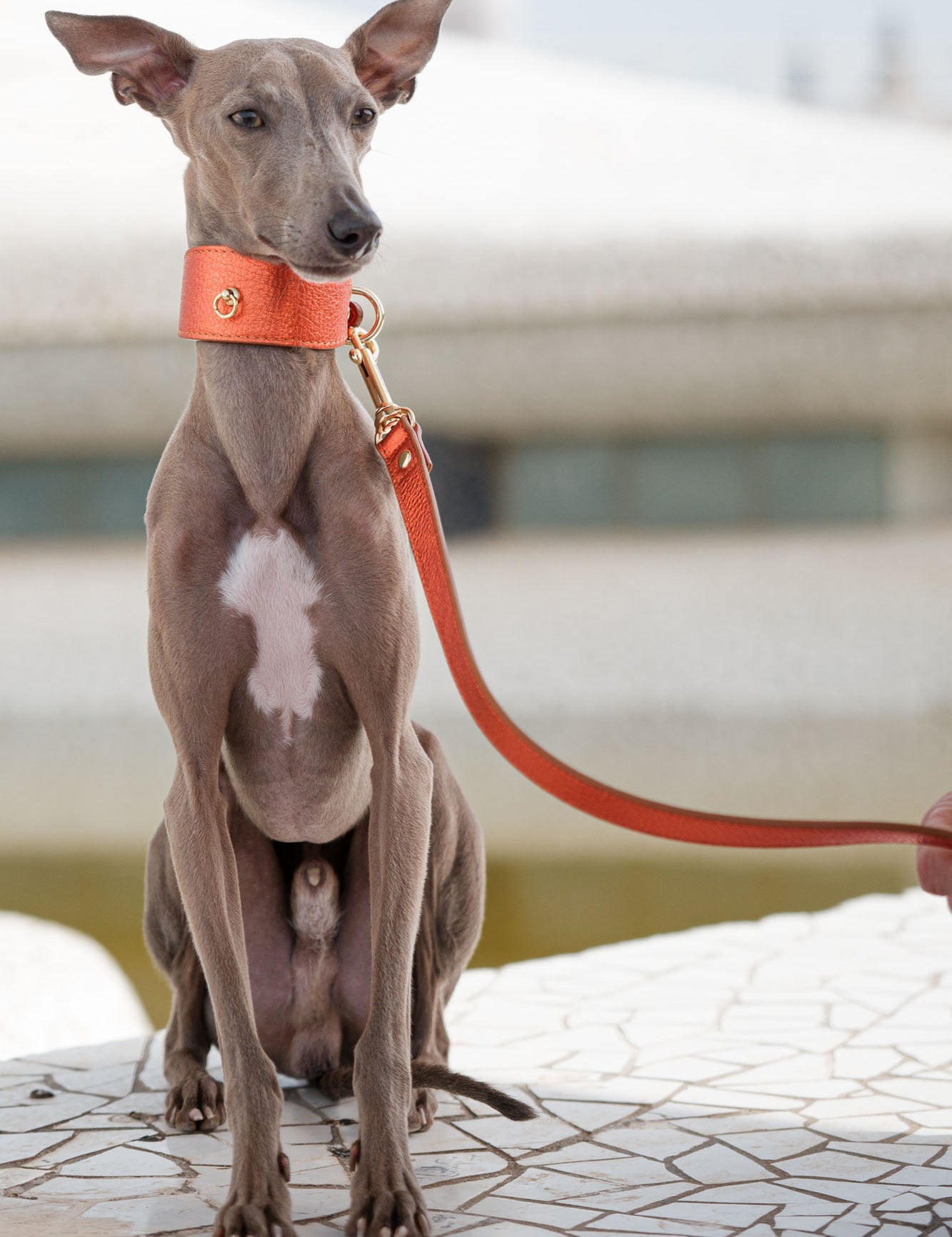 kit-galgo-metalizado-naranja-lifestyle-02.jpg