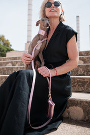 Pink Greyhound Metal collar