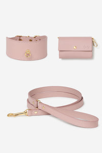 Kit collar Galgo Nara rosa - M / Clásica / Toy