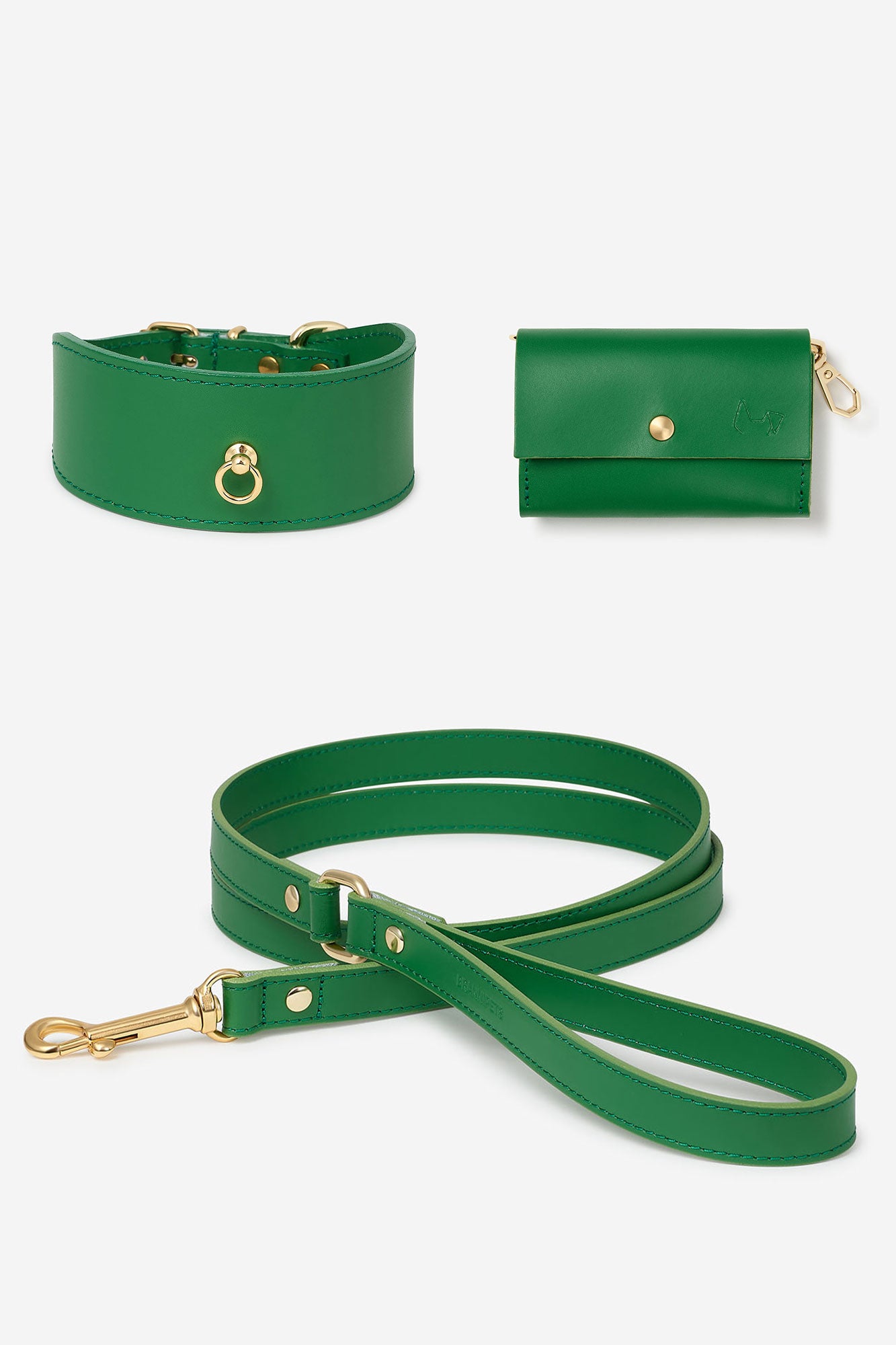 Kit collar Galgo Nara verde