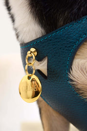 Edición Limitada Kit Arnés Emerald