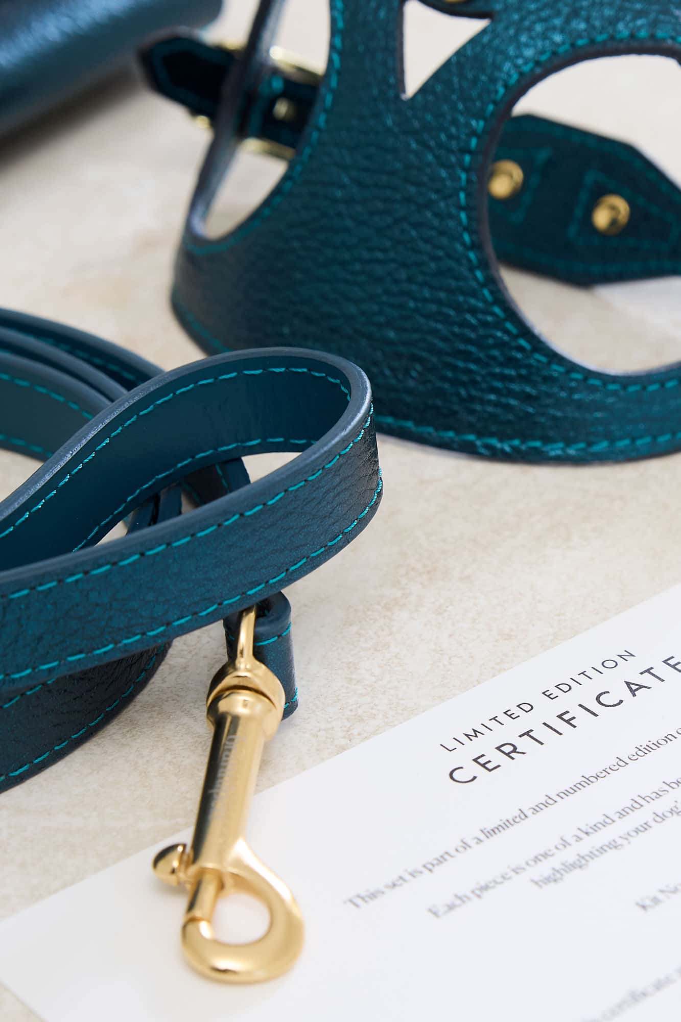 Edición Limitada Kit Arnés Emerald