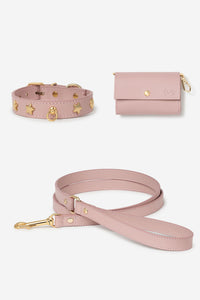 Set con collare per cani Nara rosa - XS / Classica / Standard