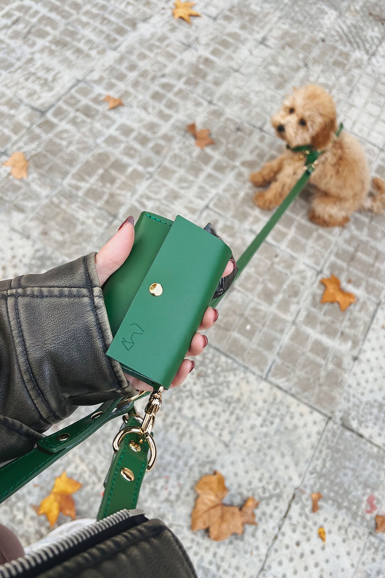 Green Nara poop bag carrier