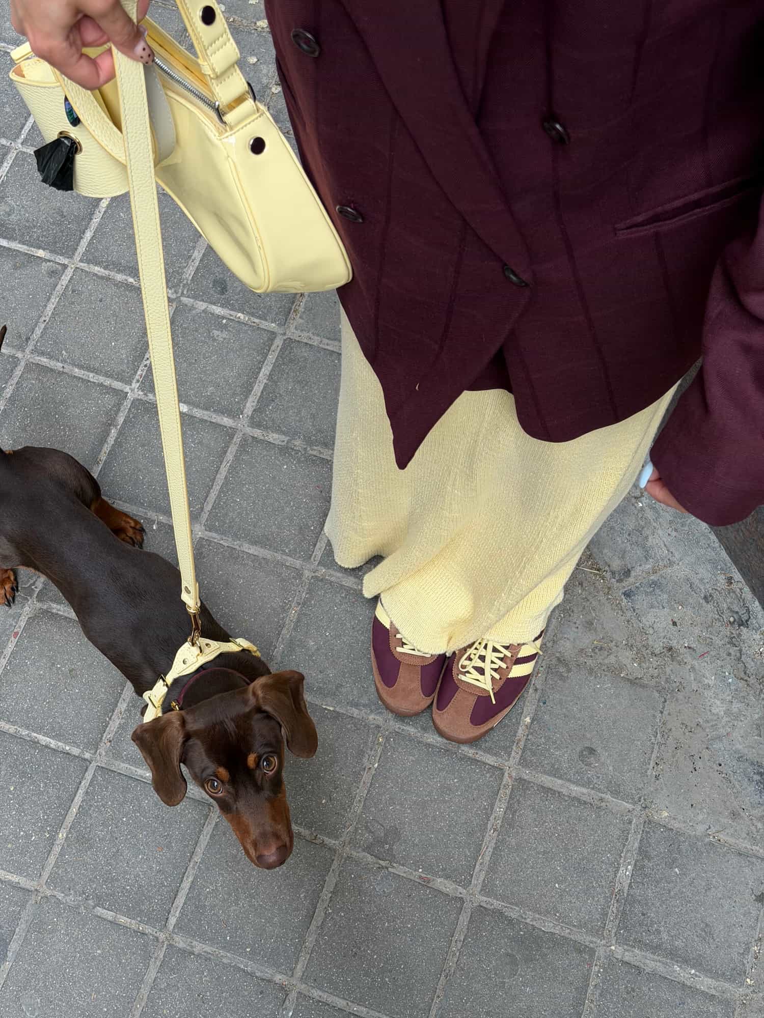 Arnés perro Juno amarillo