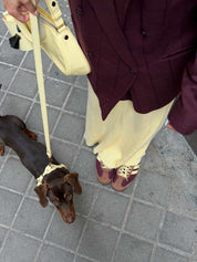 Arnés perro Juno amarillo