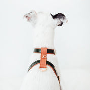 Arnés perro Lia verde oscuro