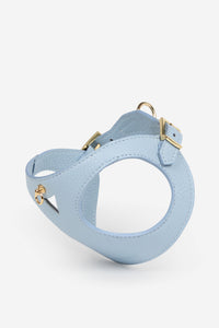 Sky blue Juno harness - Azul cielo / XS