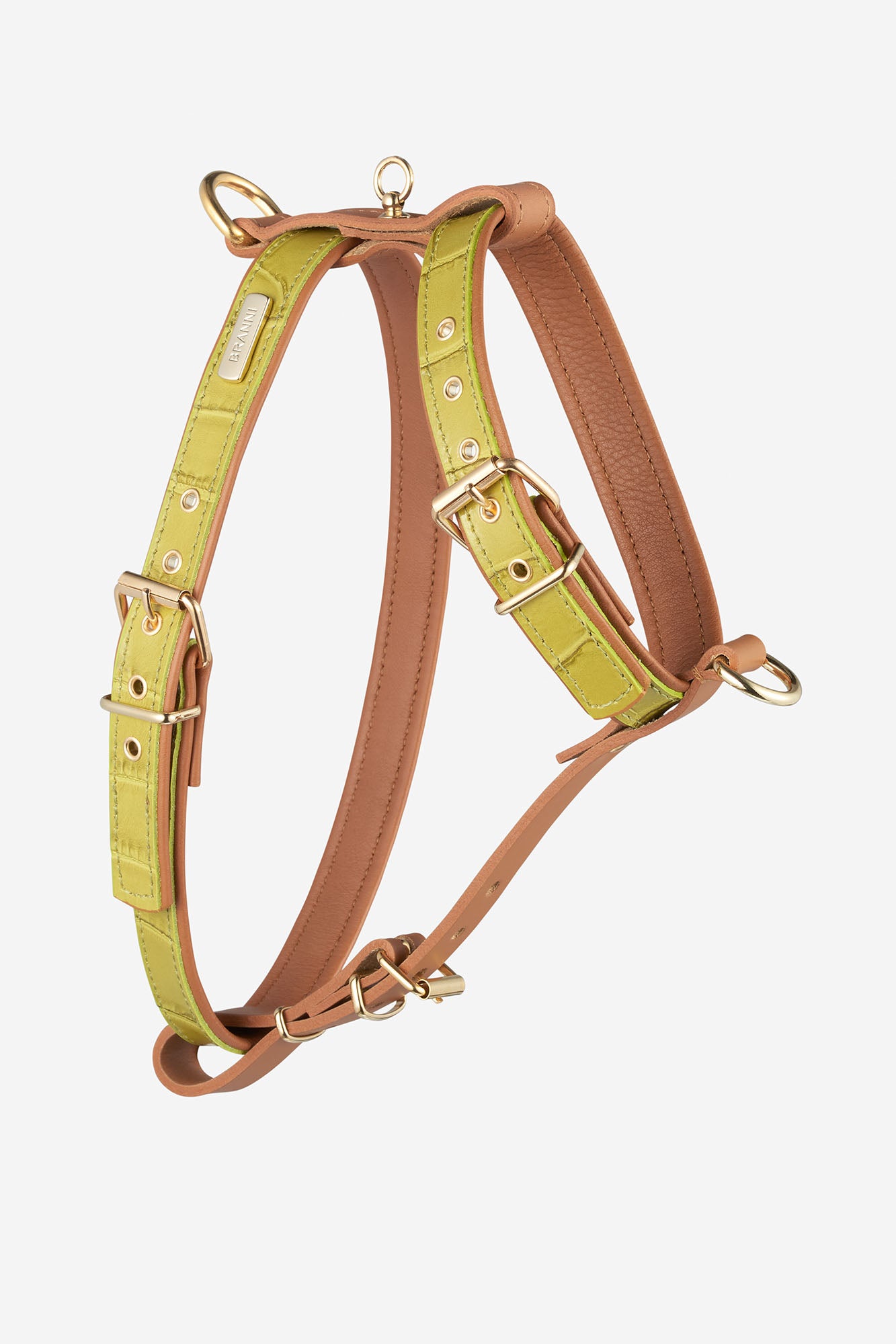 Arnés para perro de color verde lima de la colección Lia