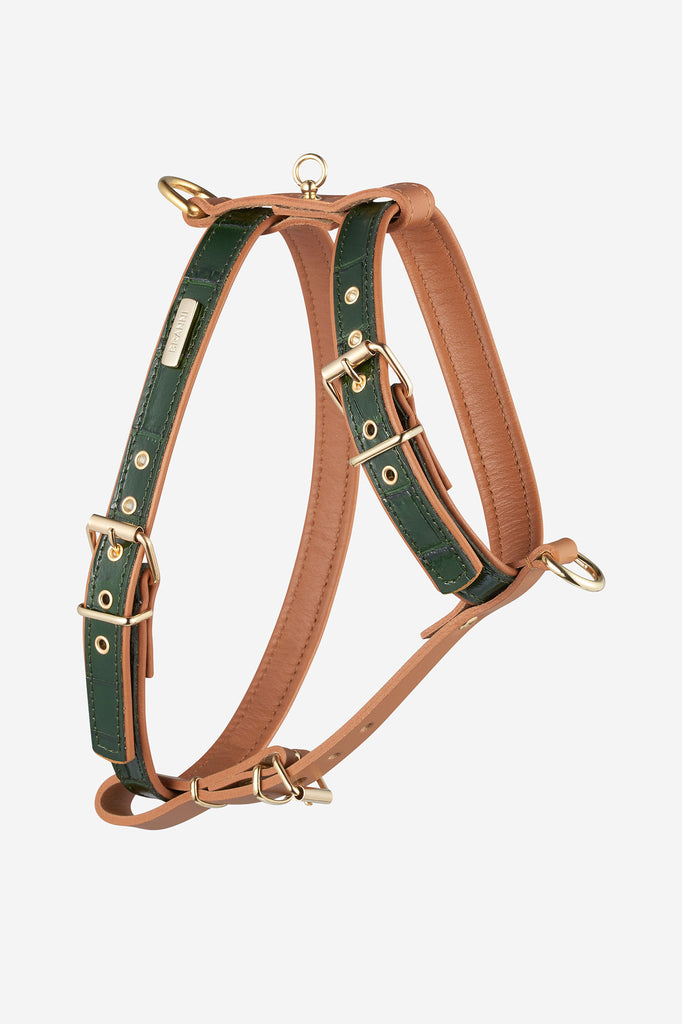 Luxury Dog Collars and Leads from Frida Firenze