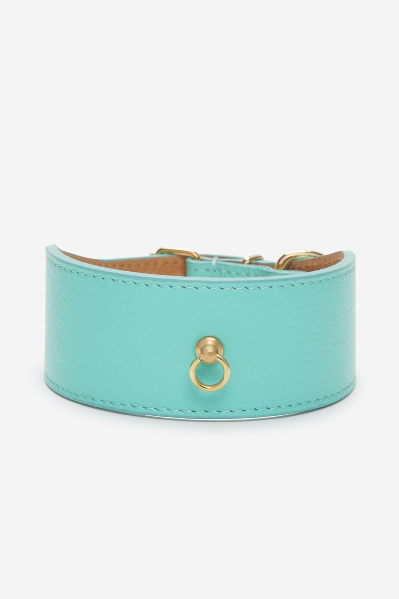 Collar Galgo Juno Turquesa