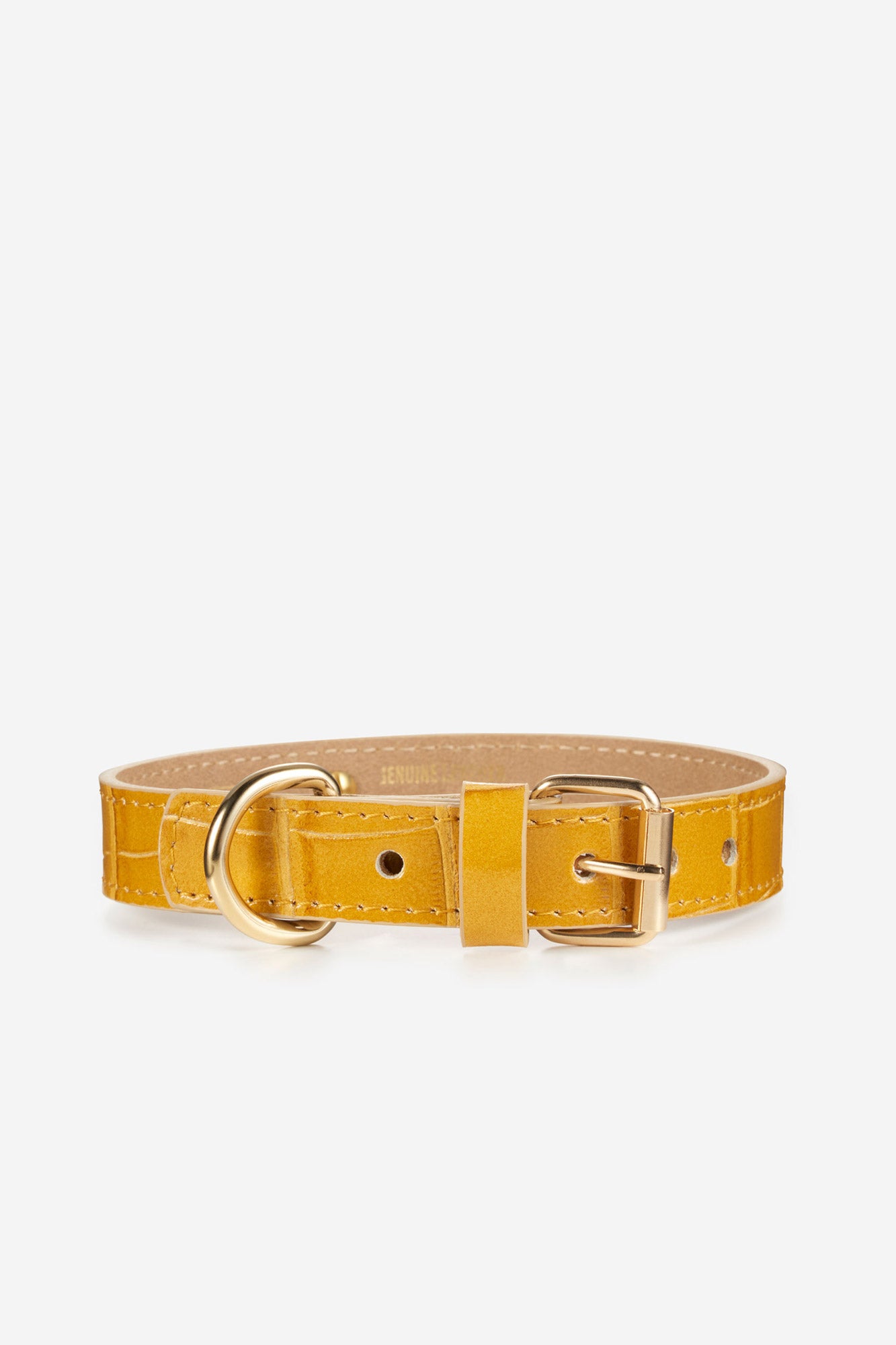 collar-perro-lia-amarillo-frontal.jpg