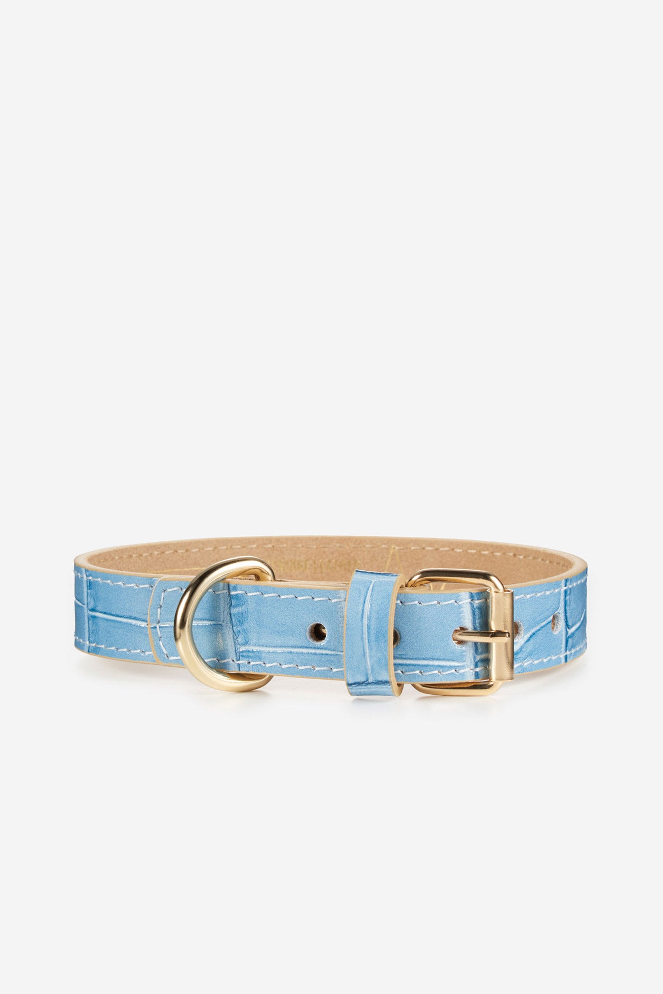 collar-perro-lia-azul-cielo-frontal.jpg
