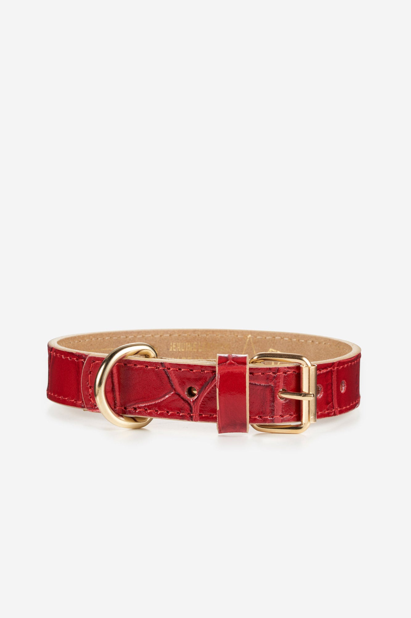 collar-perro-lia-rojo-frontal.jpg