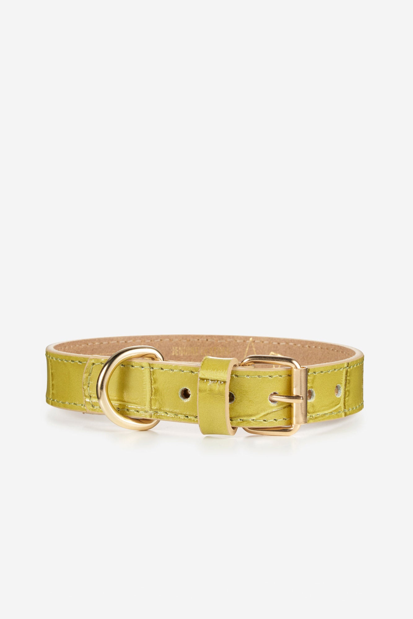 collar verde lima para perro