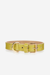 Hundehalsband Lia – Limettengrün (Kroko) - Verde Lima / XS