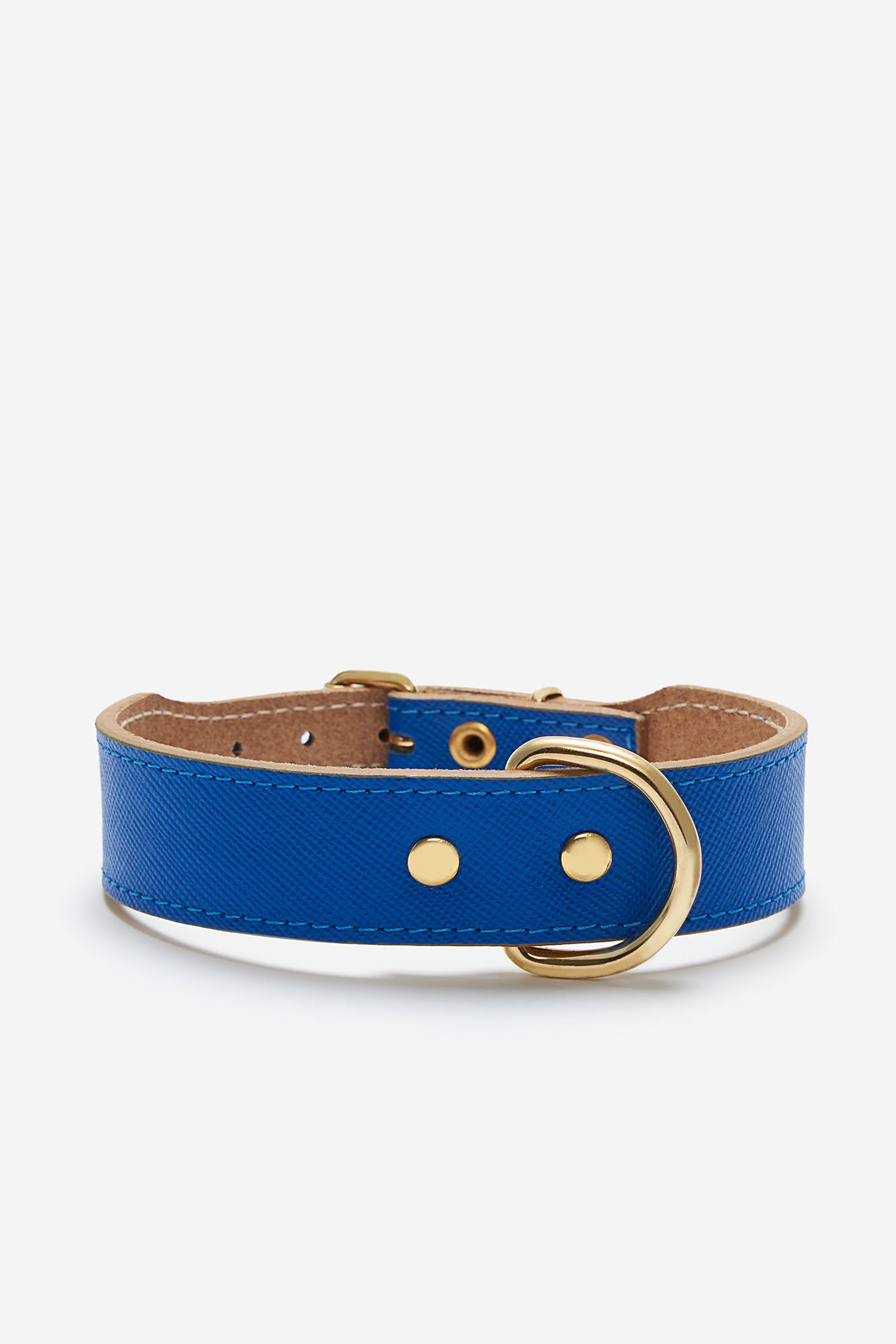 Collar para perros Moni de color azul eléctrico frontal