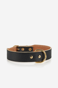 Collier pour chien Moni noir - Noir / XS