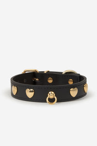 Collar perro Nara negro - Negro / XS