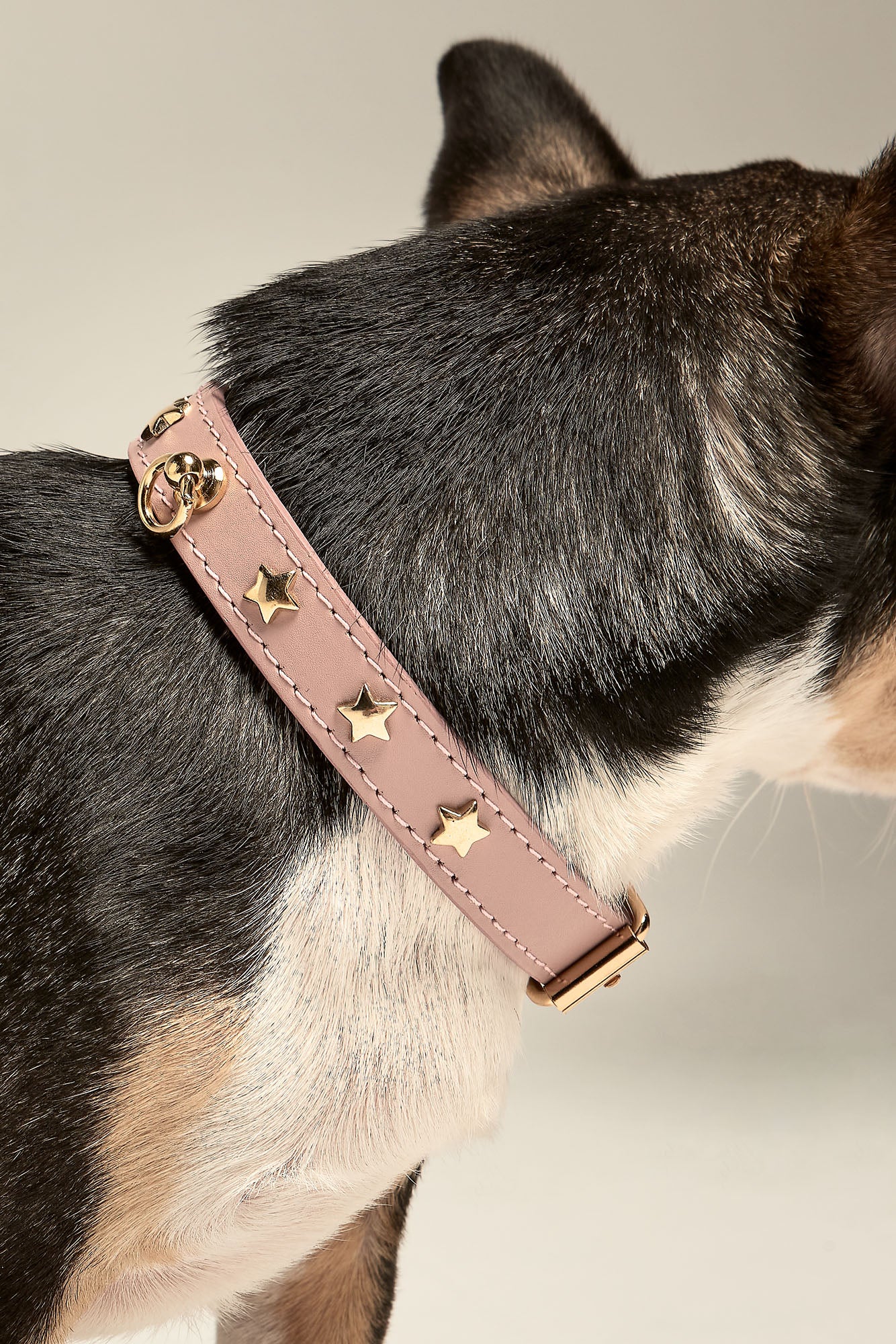 collar-perro-pequeno-nara-toy-rosa-chihuahua-detalle.jpg