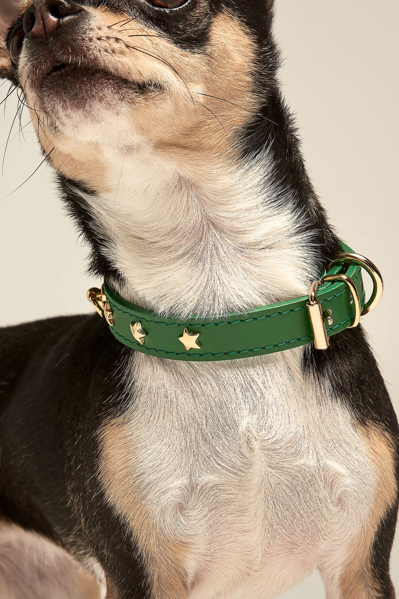 collar nara verde perro pequeño