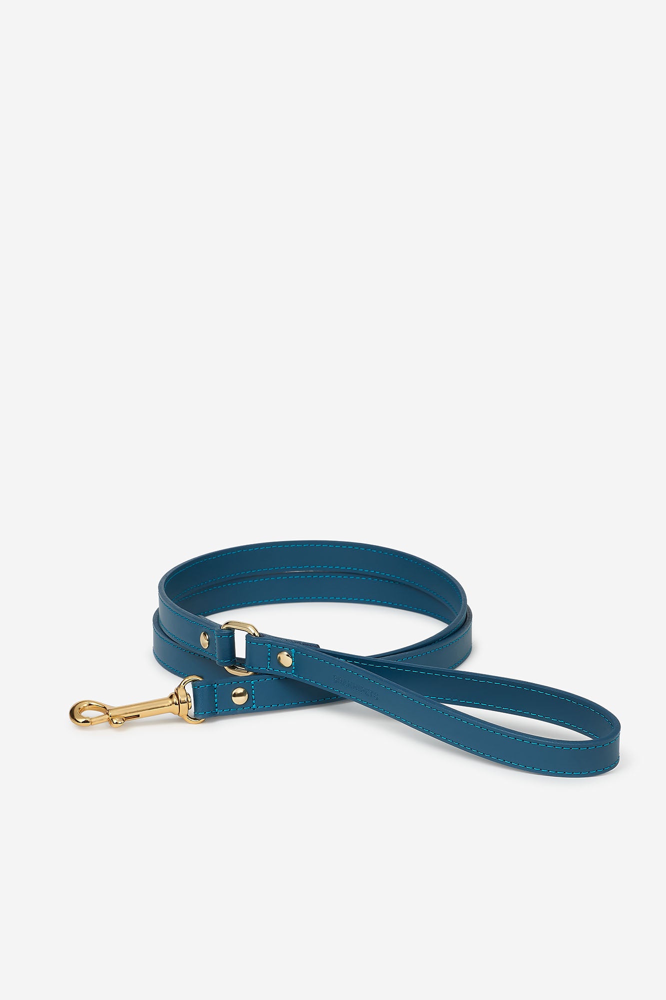 Correa de piel azul para perros