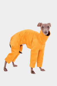 Yellow Four-Sleeve Whippet Dog Sweatshirt - Yellow / L